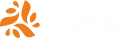 Sono