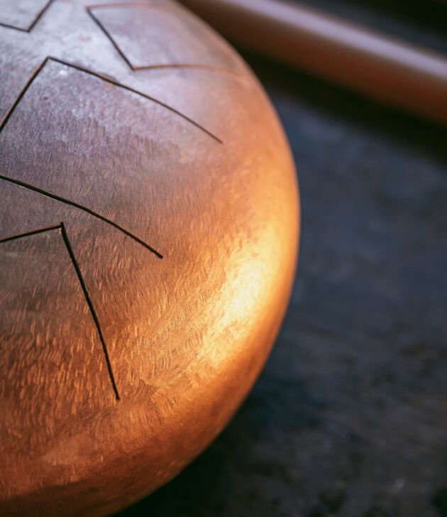 Textured shield - Image 2